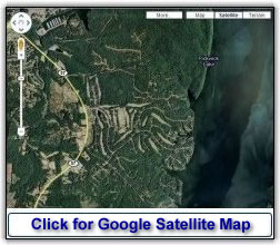Google Satellite Map